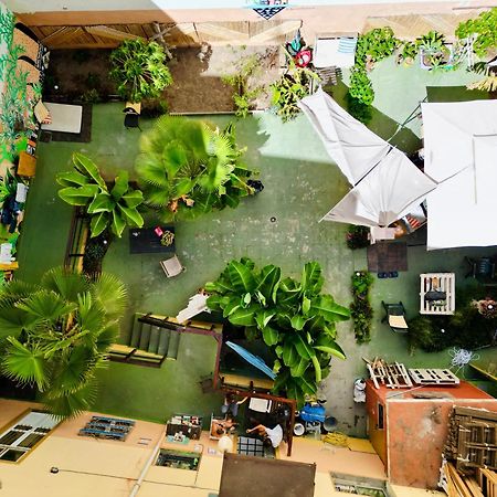 Jungle House Hostel Las Palmas de Gran Canaria Bagian luar foto